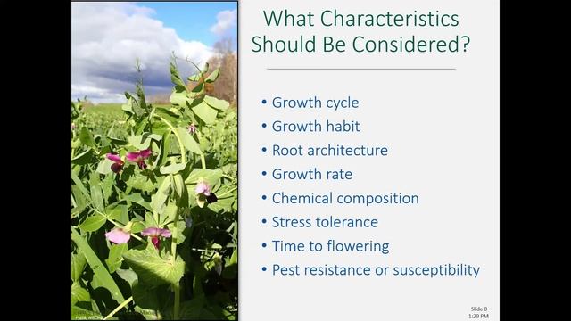 Resource Conservation Workshop: Managing Crops for Healthier Soils - Cover Crops & Crop Rotation смотреть онлайн