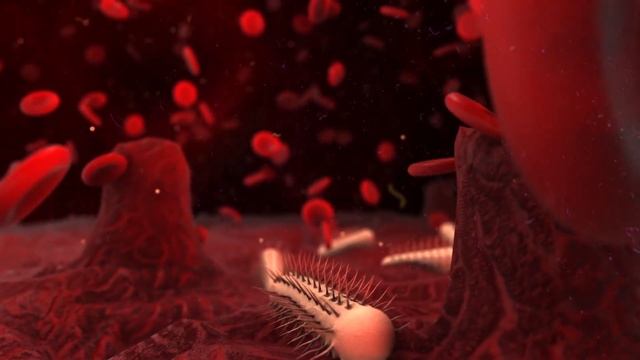 This CARB Increases Insulin SENSITIVITY (& lowers insulin resistance) смотреть онлайн
