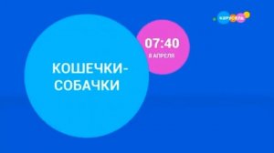 Анонс и рекламный блок + Глюк с логотипом (Карусель, 05.04.2021)