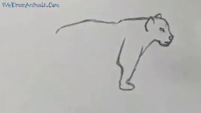 How to Draw a Jaguar In 7 EASY Steps - GREAT for Kids & Beginners смотреть онлайн