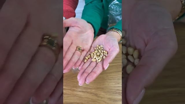 thumb-Кедровый орех очищенный 500г-2}