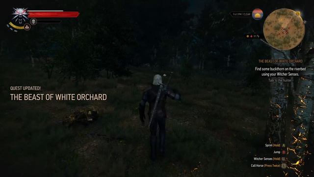 The Witcher 3 - Windows 10 Game DVR Test смотреть онлайн