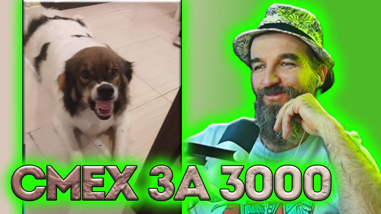 №2 СМЕХ за 3000 / Курапов Иван / Больше Смеха смотреть онлайн