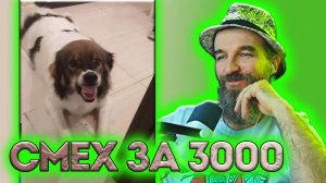 №2 СМЕХ за 3000 / Курапов Иван / Больше Смеха