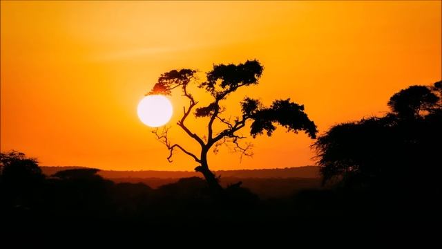 Summer Never Ends 184 Progressive House Mix The Window to the soul Edition смотреть онлайн