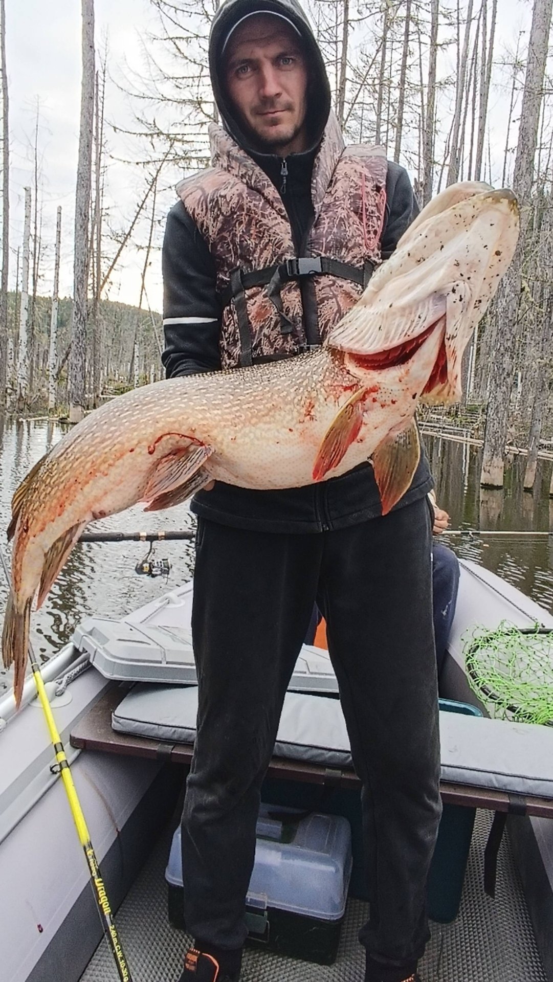 Крупная щука в сентябре. Богучаны.