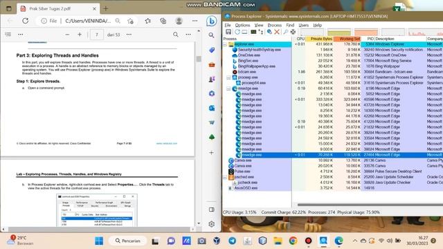 Exploring Processes, Threads, Handles, and Windows Registry смотреть онлайн