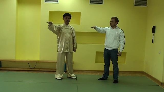 Лекция Гао Янь Иня - Теория Цигун
