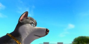 Корги по имени Моко. Простые истории, 80 серия. Это моё!