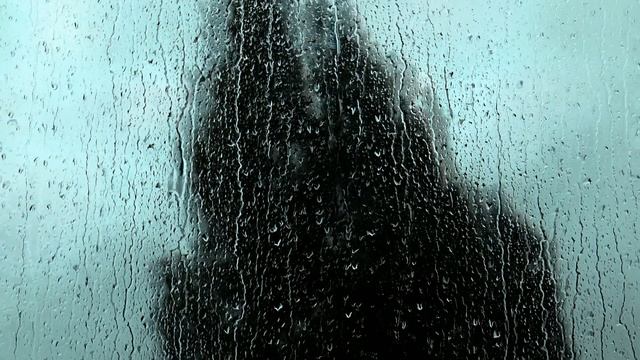 Rain Hitting Window with Wind Through Trees Sound смотреть онлайн