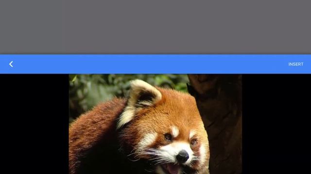 How Search within Google Docs - iPad App смотреть онлайн