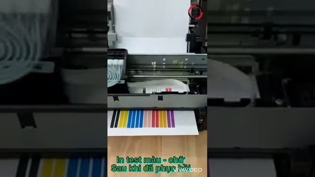 Phục hồi đầu phun máy in màu Epson L805 tại Quy Nhơn - Bình Định смотреть онлайн