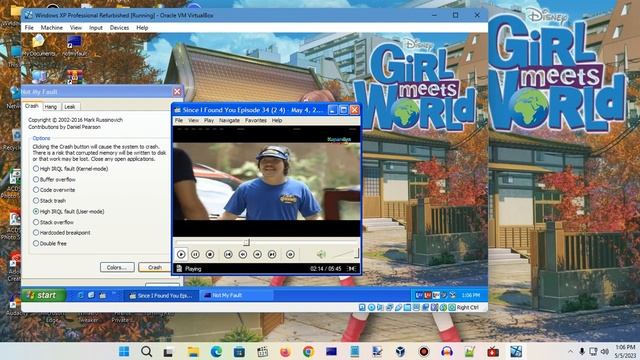 Windows XP BSOD 1146 (2023) смотреть онлайн