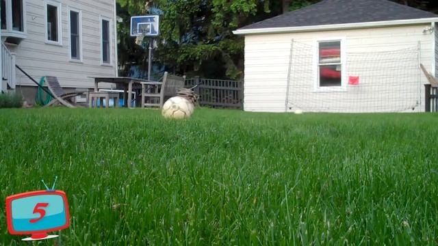 WINDOWS BROKEN BY BALLS #1 ⚽🏨 - TRY TO NOT LAUGH смотреть онлайн