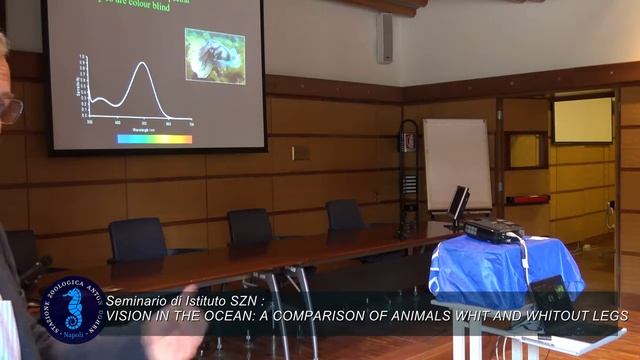 SZN: Vision in the ocean: a comparison of animals with and without legs II parte смотреть онлайн