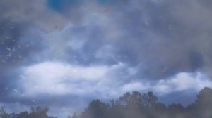 Я свободен , Кипелов , женская версия ,кавер