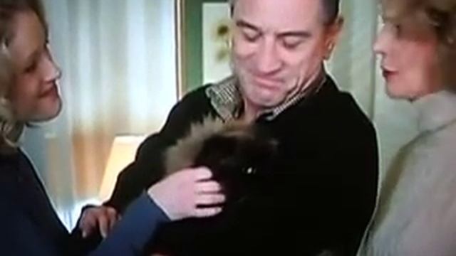 Meet the Parents Cat can't Lift the toilet seat смотреть онлайн