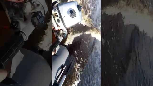 Супер  Переделка сиа про в ямаху