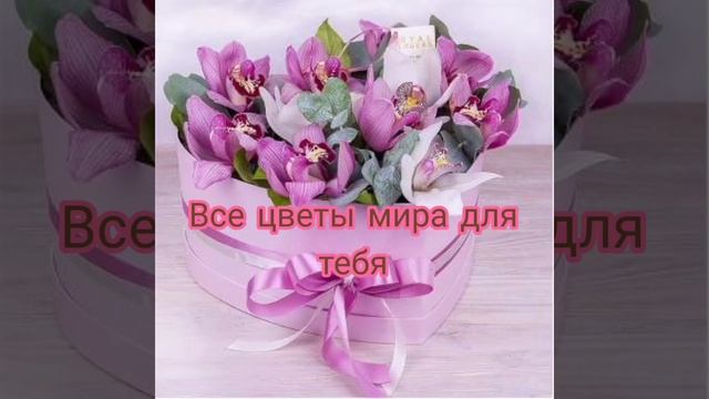 День рождения Дарьи смотреть онлайн