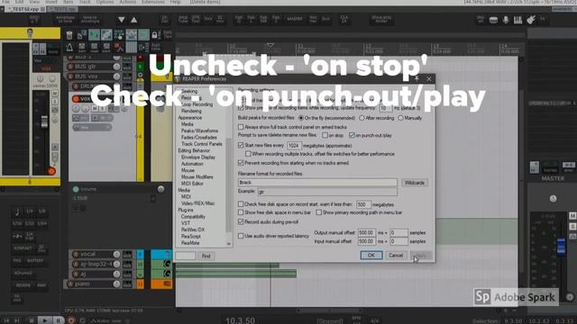 Cockos Reaper Quick Tips/Tricks. How To Deactivate After Recording Confirmation Window