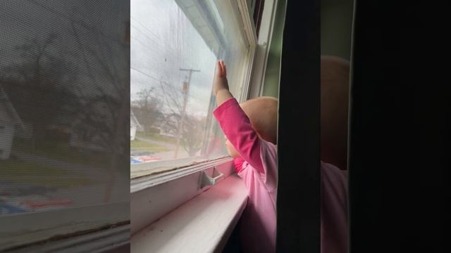❤️She loves looking out the window❤️🥰❤️❤️ смотреть онлайн