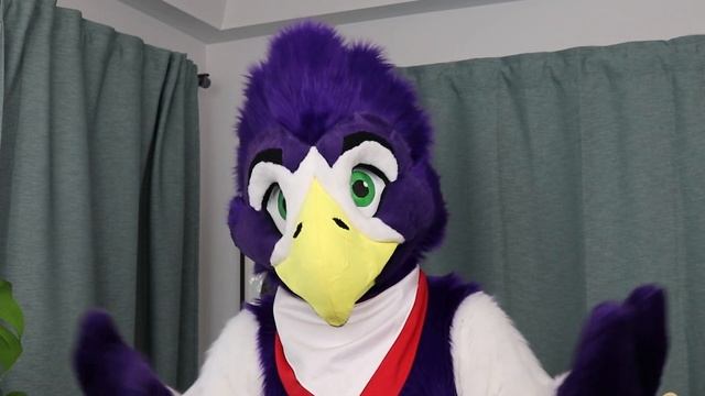 Bird Window Collisions: What to Do? - Ask Sentri! смотреть онлайн