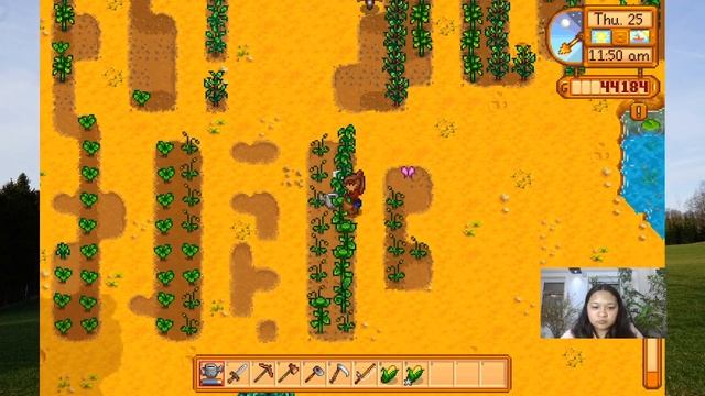 Stardew Valley Insane Farming #005 смотреть онлайн