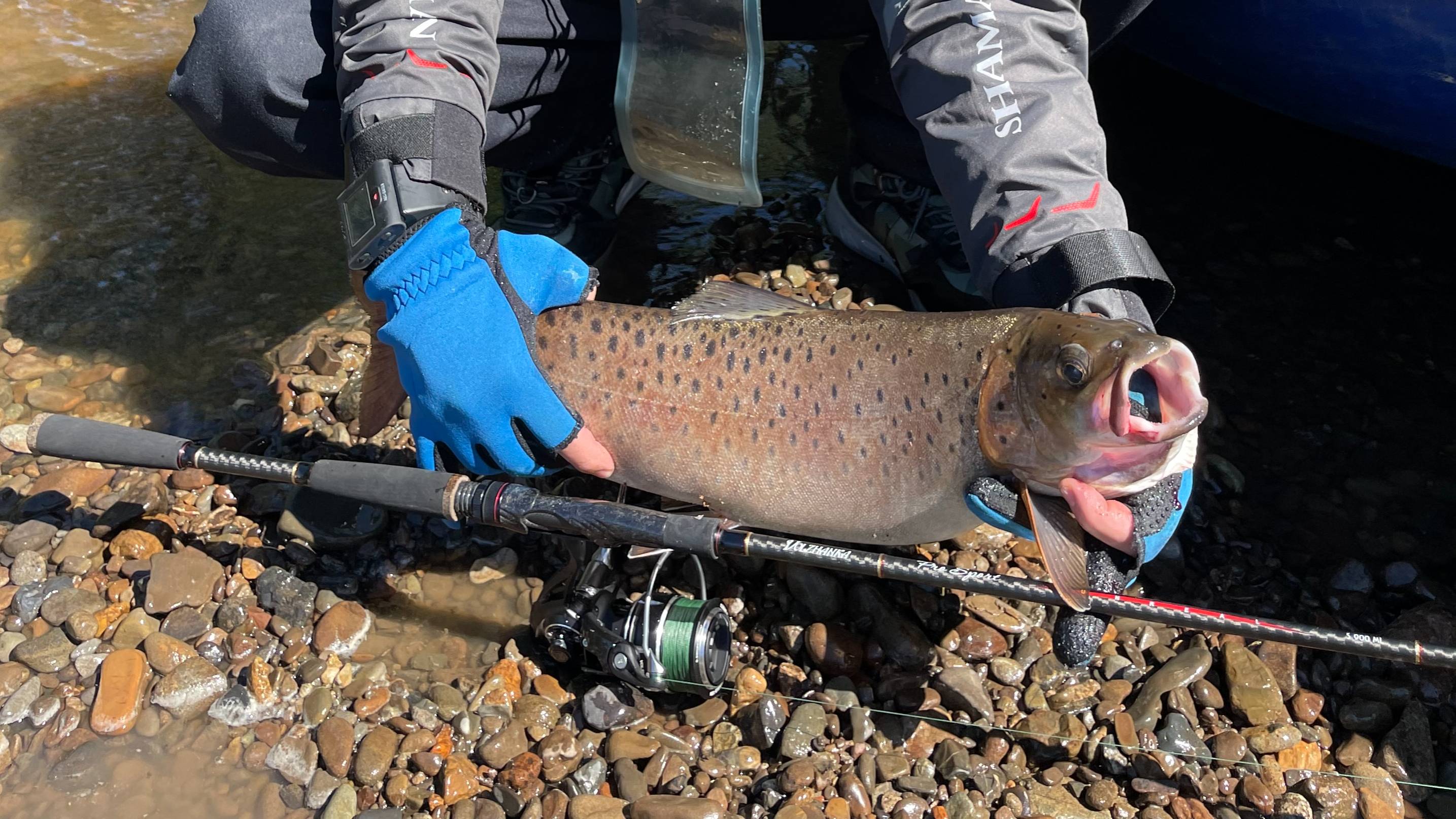 Спиннинг Pro Sport Unreal Volzhanka