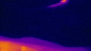 BBC. Твои весёлые друзья зверята 36 серия (документальный сериал, 2004-2009)