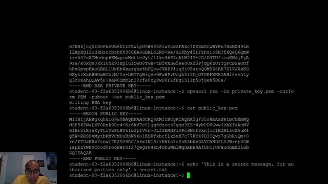 Create/inspect key pair, encrypt/decrypt and sign/verify using OPENSSL смотреть онлайн