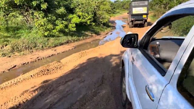 Шри-Ланка 🇱🇰 сафари на джипах смотреть онлайн