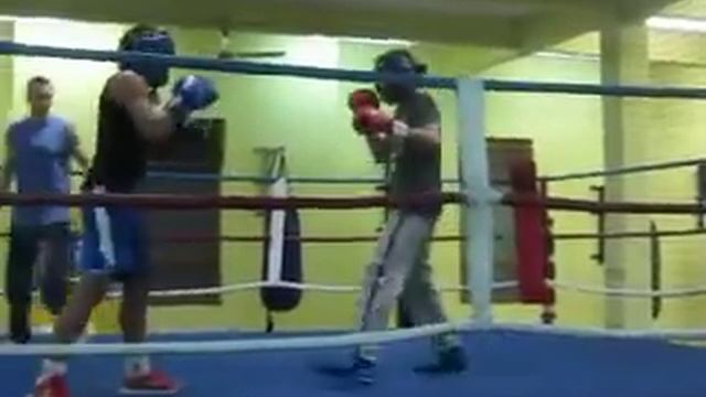 sparing zdeněk čureja vs hamani bennoua смотреть онлайн