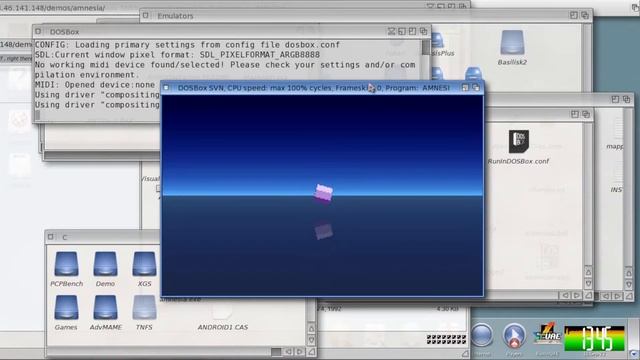 Amnesia [IBM-PC] (1992) Renaissance [AmigaOne X1000} /DOSBox-SVN\ смотреть онлайн