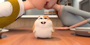 Корги по имени Моко. Домашние животные 2, 9 серия. Как хомяка приютили