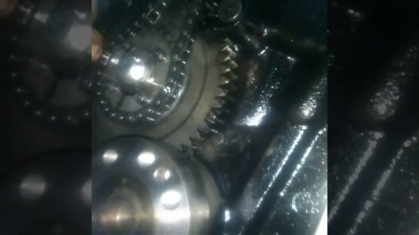 Газель Каминс