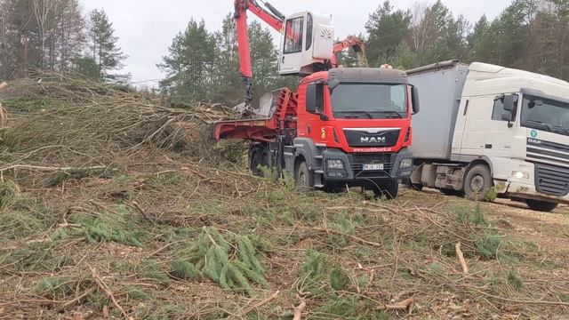 Bioskiedra su Biber 85 Eschlboeck смотреть онлайн