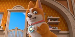 Корги по имени Моко. Домашние животные 2, 74 серия. Лучший кадр