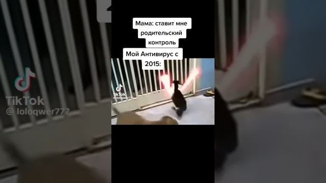 26 ноября 2023 г. смотреть онлайн