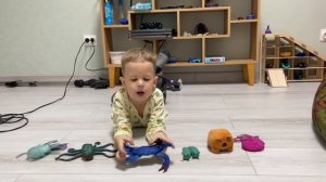 Сашкины морские обитатели