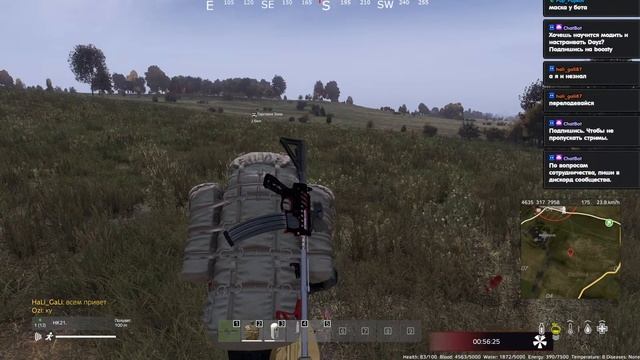 #kiberdeda #dayz RaccoonCity/PVE 1|War With Bots|Bed-Respawning|Trader #21