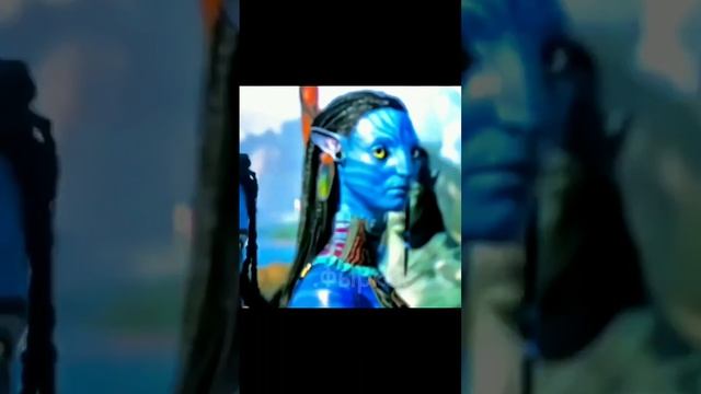 Они уже догадались))) #avatar #avatar2 #avatarthewayofwater #avatar1 #avatarreckoning #фырка смотреть онлайн