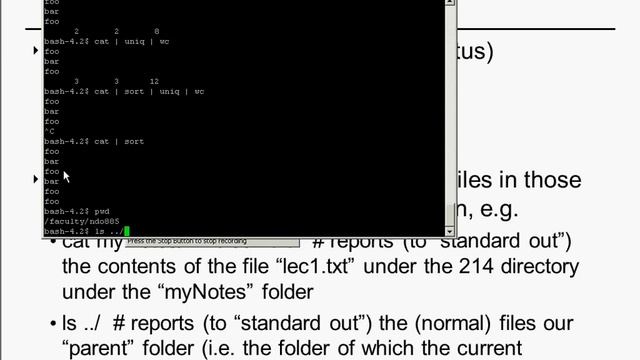 Introduction to relative path essentials смотреть онлайн
