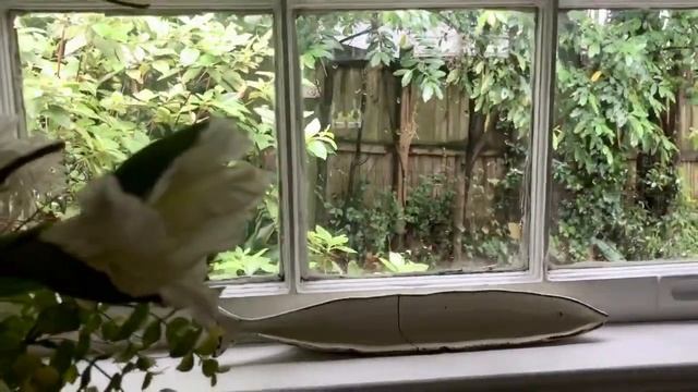 Just look out your window...and know God is magnificent@RyanAMarshall смотреть онлайн
