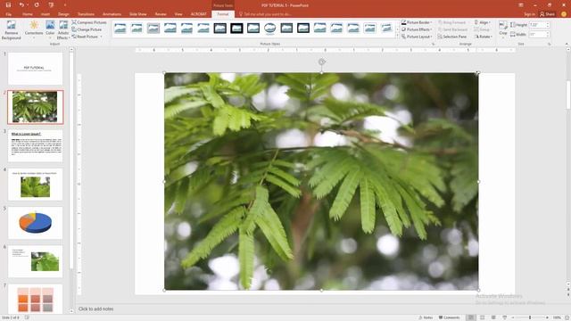 How to intersect a picture with a shape in PowerPoint смотреть онлайн