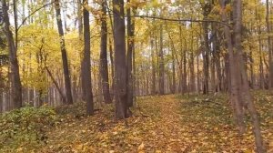 Выходим из голода