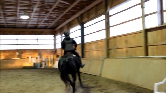 Ian Roberts Clinic 02/01/2015 смотреть онлайн