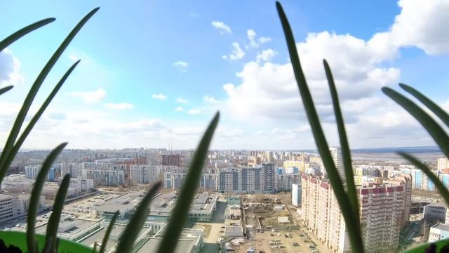 Look out the window или оконный лук смотреть онлайн