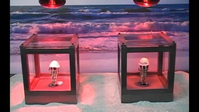 Solar Window Film Test On Ice-cream Melting - Solar Gard Malaysia смотреть онлайн