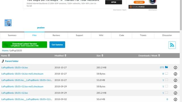 Puppy Linux LxPupSC 18.10 in Gigabyte GA-3800N skulstars смотреть онлайн