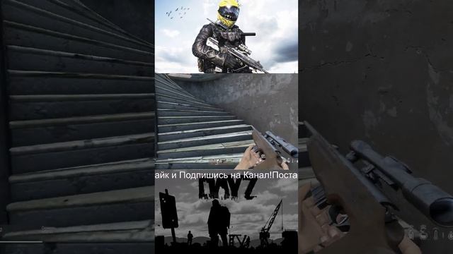 DayZ | Вайп на AlcatraZ ! ЧИТАЮ 90 % чата! #dayz #dayzstandalone #gaming #shorts #streamer